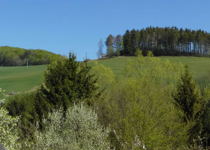 In Mit Grill By Interhome Apartamento Heringhausen