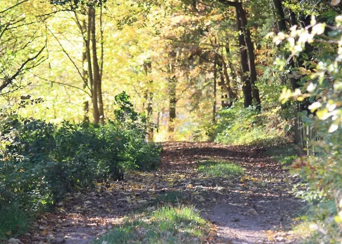 Apartamento In Mit Grill By Interhome Heringhausen