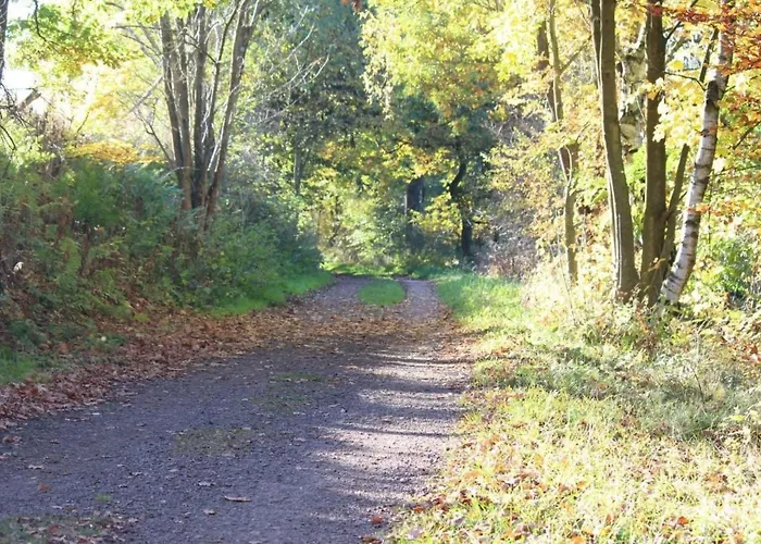 In Mit Grill By Interhome * Heringhausen